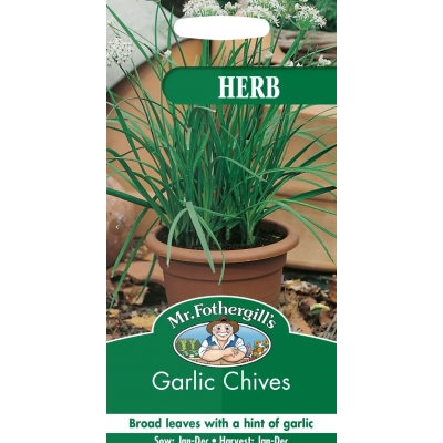 Graesloek Garlic Chives