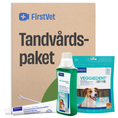 FirstVet Tandvårdspaket