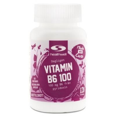 Healthwell Vitamin B6 100