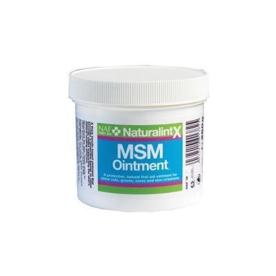 NAF NaturalintX MSM Salva 250g