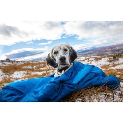 Non-Stop Sleeping Bag for Dogs