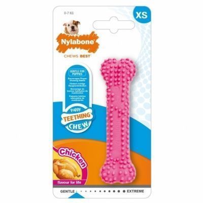 Nylabone Puppy Teething Dental Chew Rosa