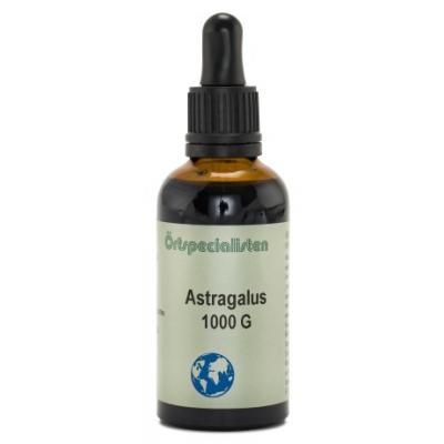 Örtspecialisten Astragalus 1000 g