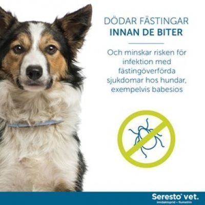 Seresto vet. halsband för hund över 8 kg 4,50 g+2,03 g 1 st