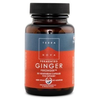 Terranova Fermented Ginger Ferzinger