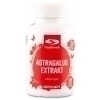 Healthwell Astragalus Extrakt