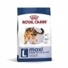 Royal Canin Dog Maxi Adult torrfoder för hund