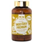 Healthwell Ingefära Premium